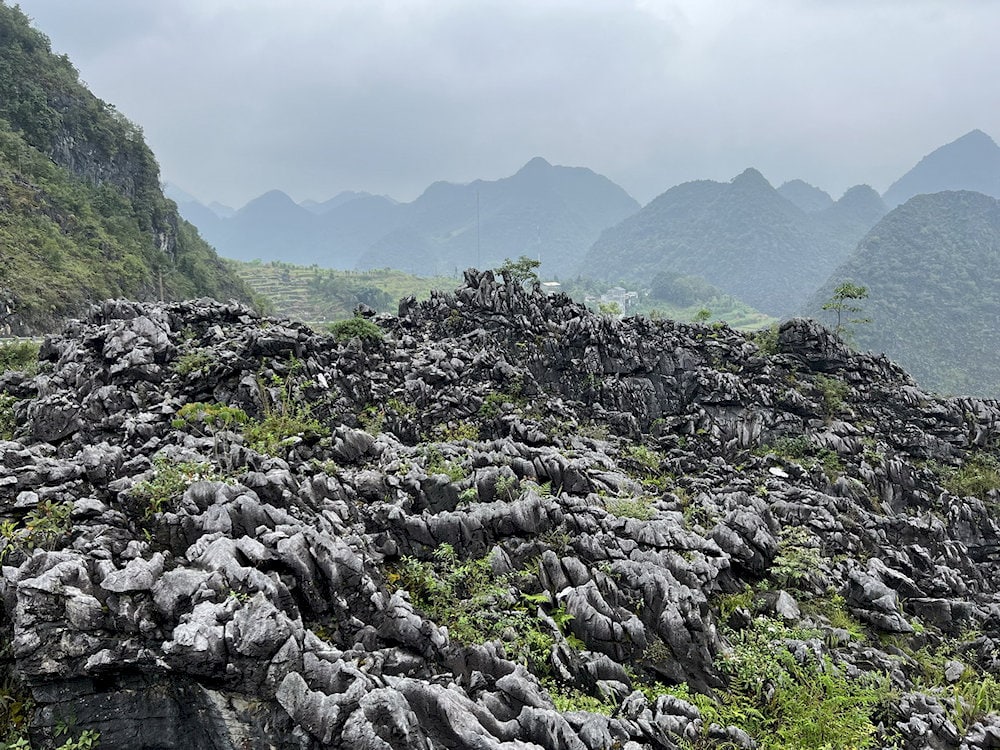 Visitors can witness visible strata and formations that reflect hundreds of millions of years of natural history